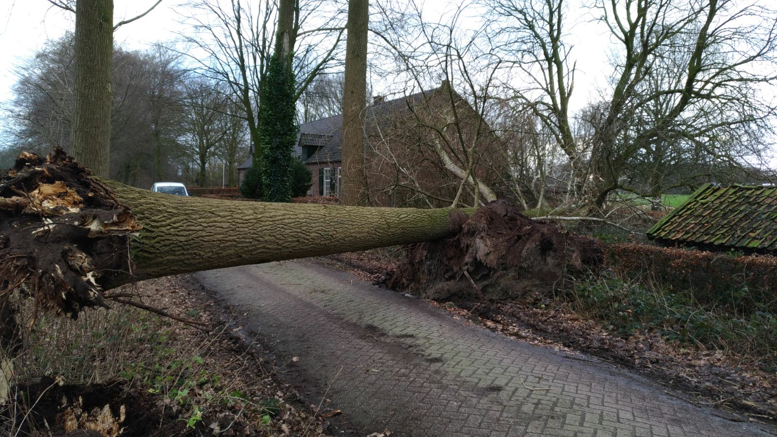 GELUK BIJ EEN ONGELUK